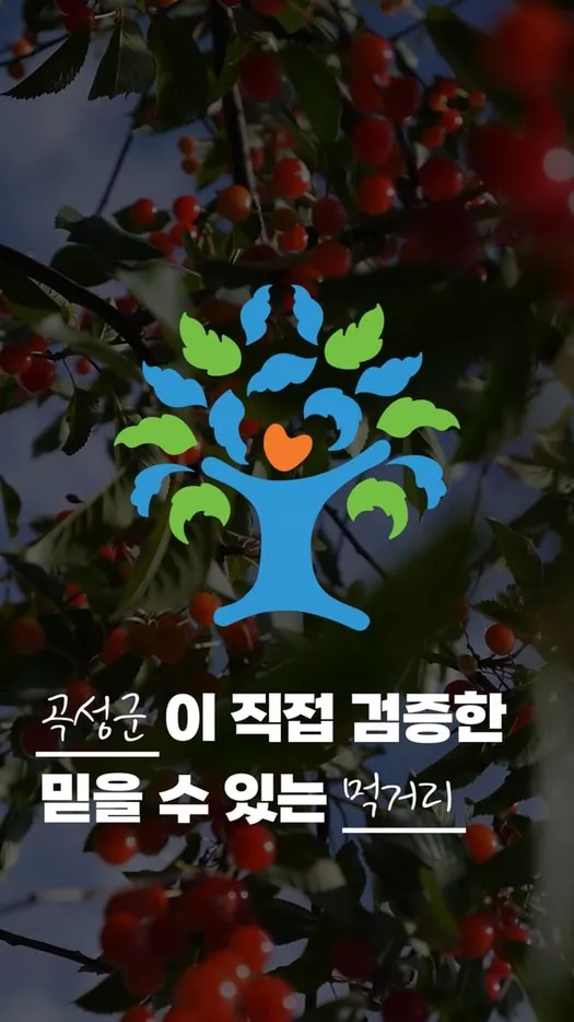 곡성군 곡성몰