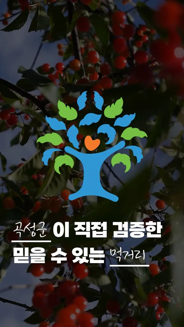 곡성군 곡성몰